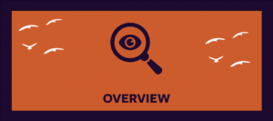 Image of purple magnifying glass with an eye in the glass against an orange background and text that reads Overview.